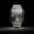 Apple Watch Strap / ROYAL II Titanium Grey