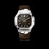 Royal Sport - Automatic Watch / SPSW200 - Chocolate Brown